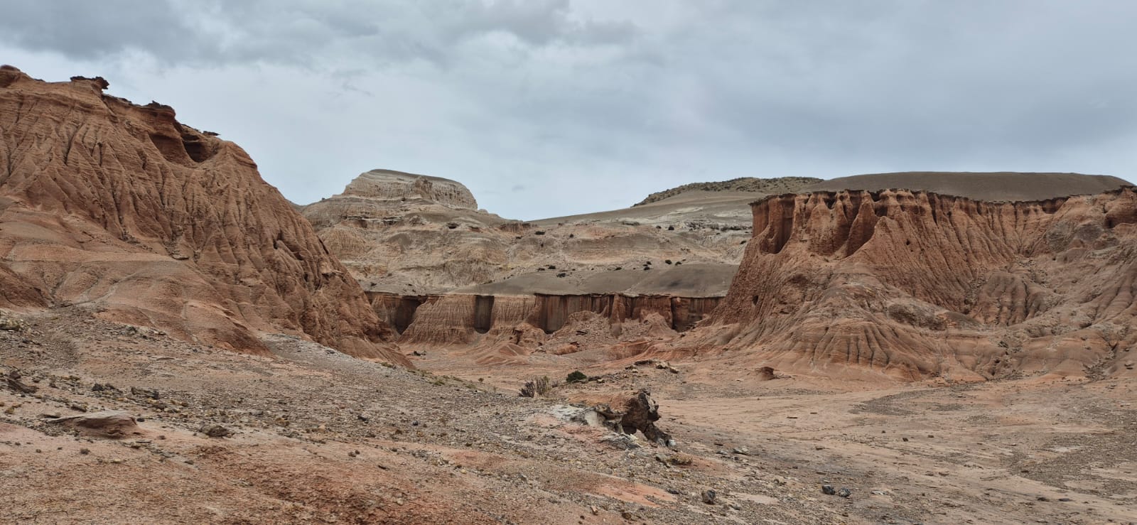 Aventura 4x4- ANP Rocas Coloradas