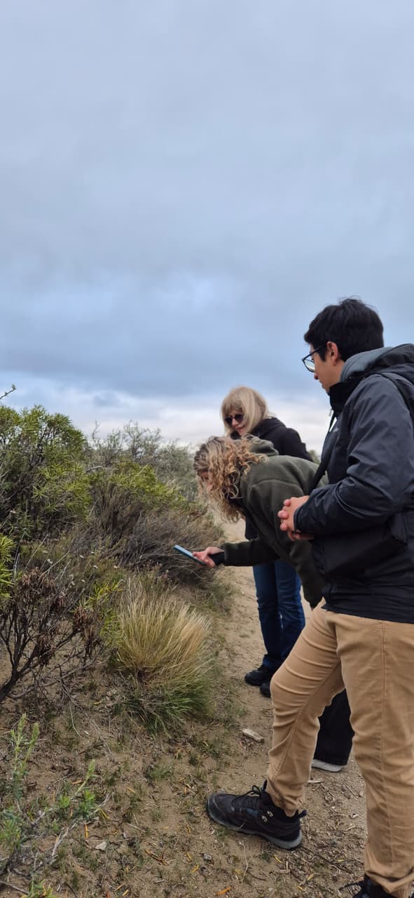 Salida Personalizada